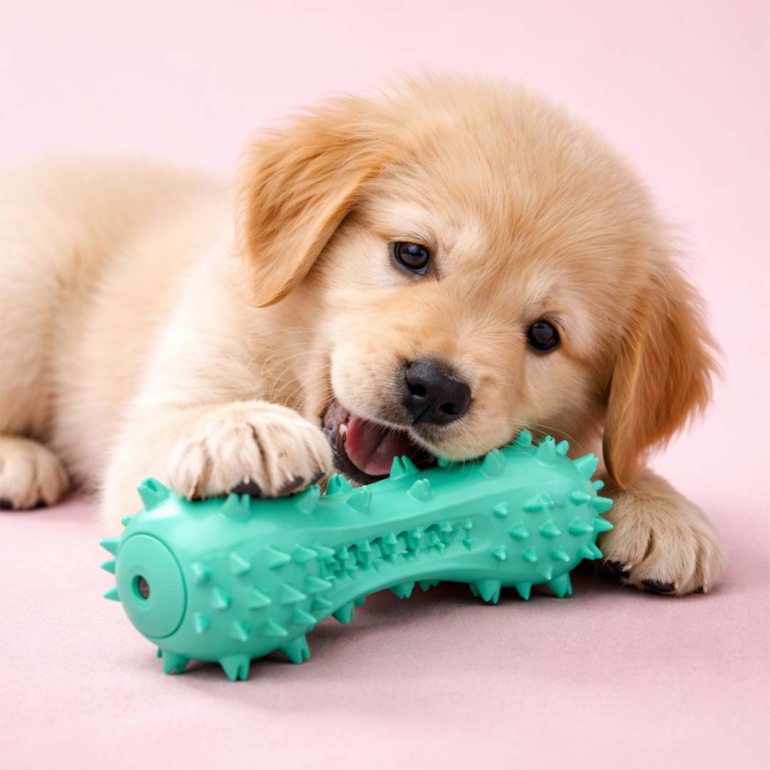 Pet toys