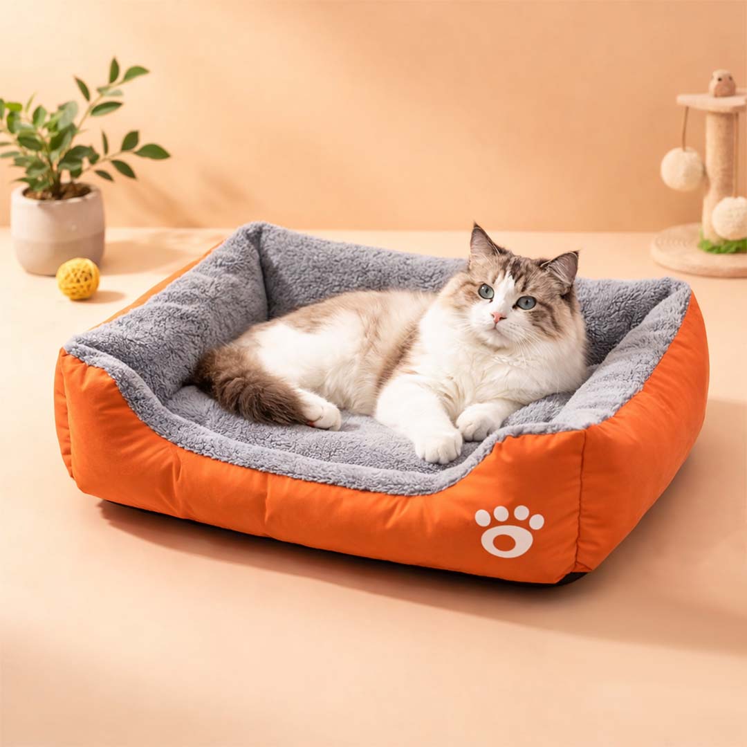 Pet wellness