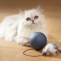 Cat Toys Mouse Teaser Ball Funny Moving Toy For Pets Cat Dog Electric Teaser Ball Automatic Intelligent Rolling Ball Pet Products