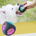 Dog Toy Ball